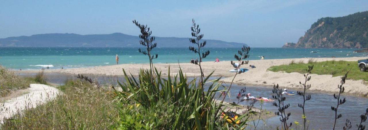Aquila Haven Pensionat Whitianga Exteriör bild